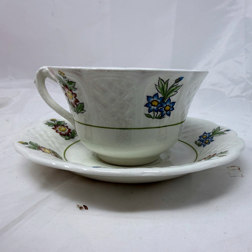 Royal Cauldon Bristol Ironstone June Garden Tea Cup and Saucer Set Lot of 6